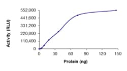Sino Biological&nbsp;Recombinant Human EIF2AK4/GCN2 Protein (GST Tag), Active